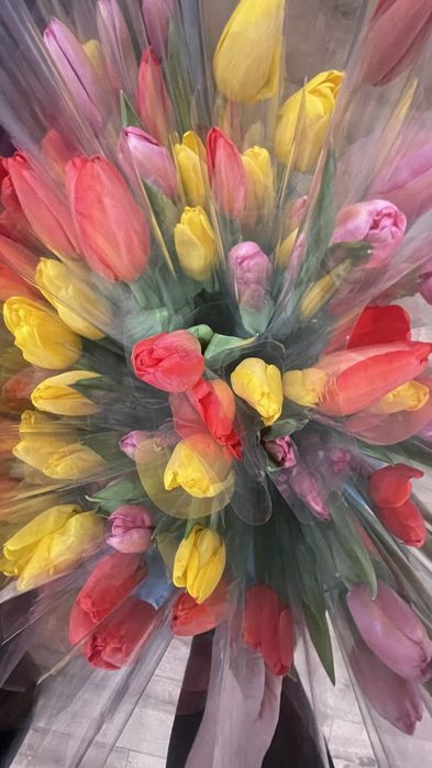 Тюльпаны ! 8 марта !