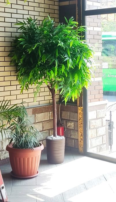 Деревья искусственные