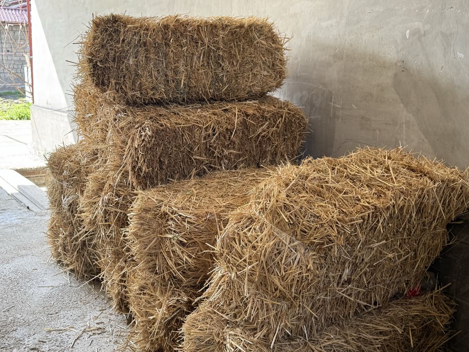 Somon press sotiladi