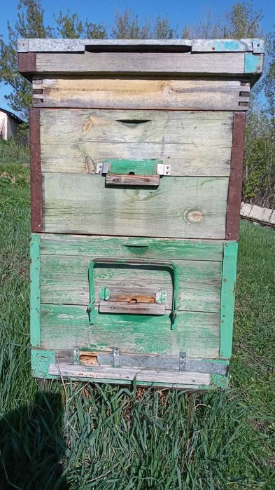 Продам улья дадан