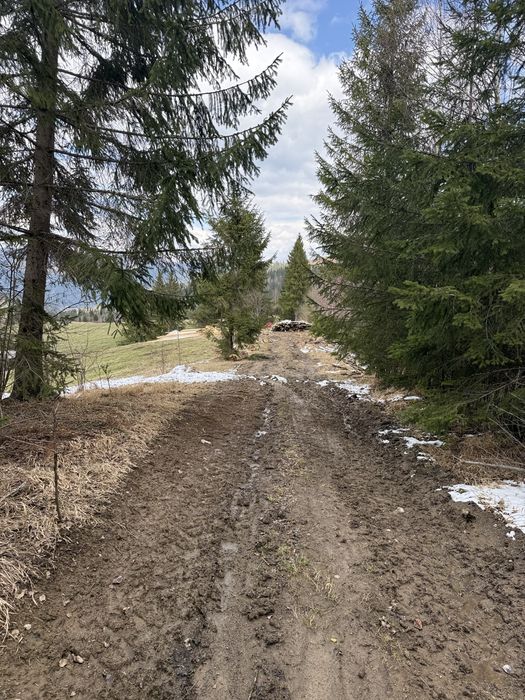 Teren rarau 10 min de partie extravilan