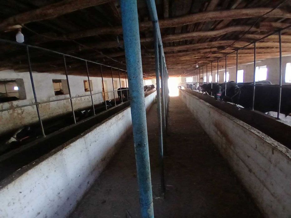 Продажа готовый бизнес 20соток Аргин Кипчок