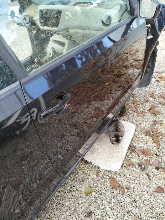 Ușa dreapta vw up . Completa fara defecte. Neagra.