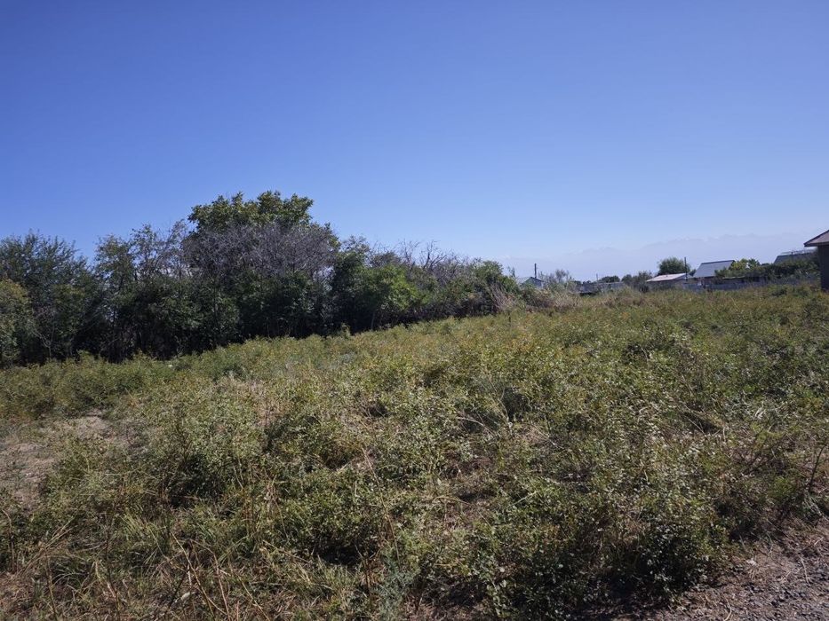 Дачный участок, земля