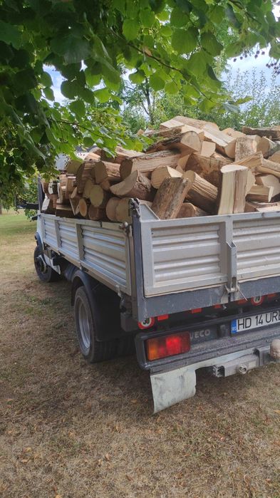 Lemne foc crepate