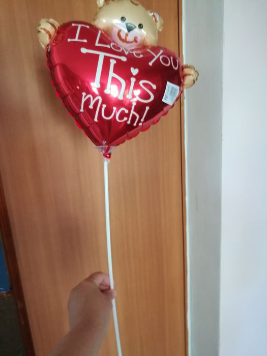 Шарик  Мишка надутый