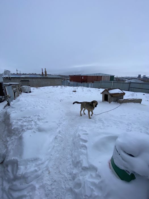 Мебельный Цех