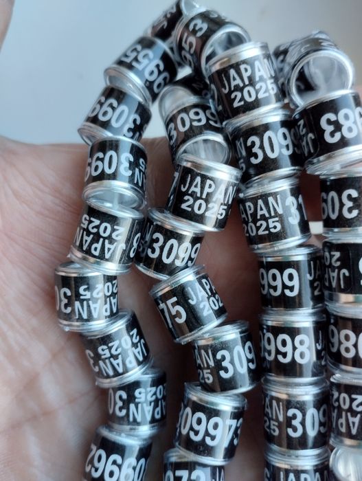 Кольца для голубей 2025