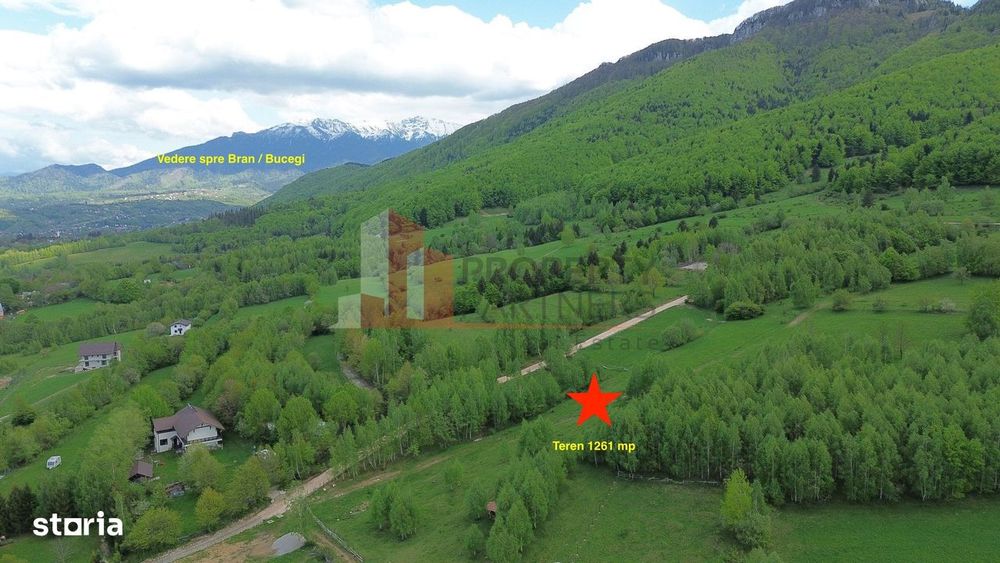 Teren intravilan 5.261 mp Tohănița | Deschidere 49 m | Utilități, lâng