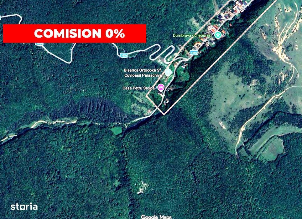 OCAZIE | 5755 mp PĂDURE matura in Stolna | Utilitati 200m | Front 17m