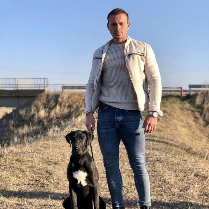 Dresaj canin in Vaslui ~ Câinii lui Ștefan