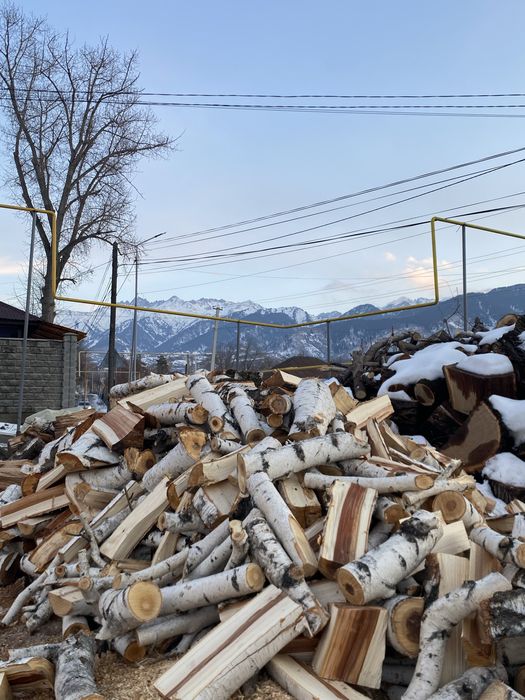 Берёза Дрова Баня