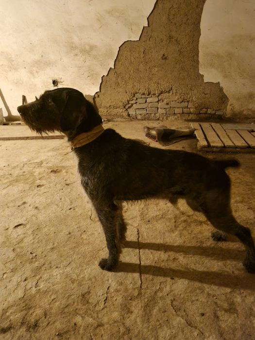 Рабочи кабель для вязки