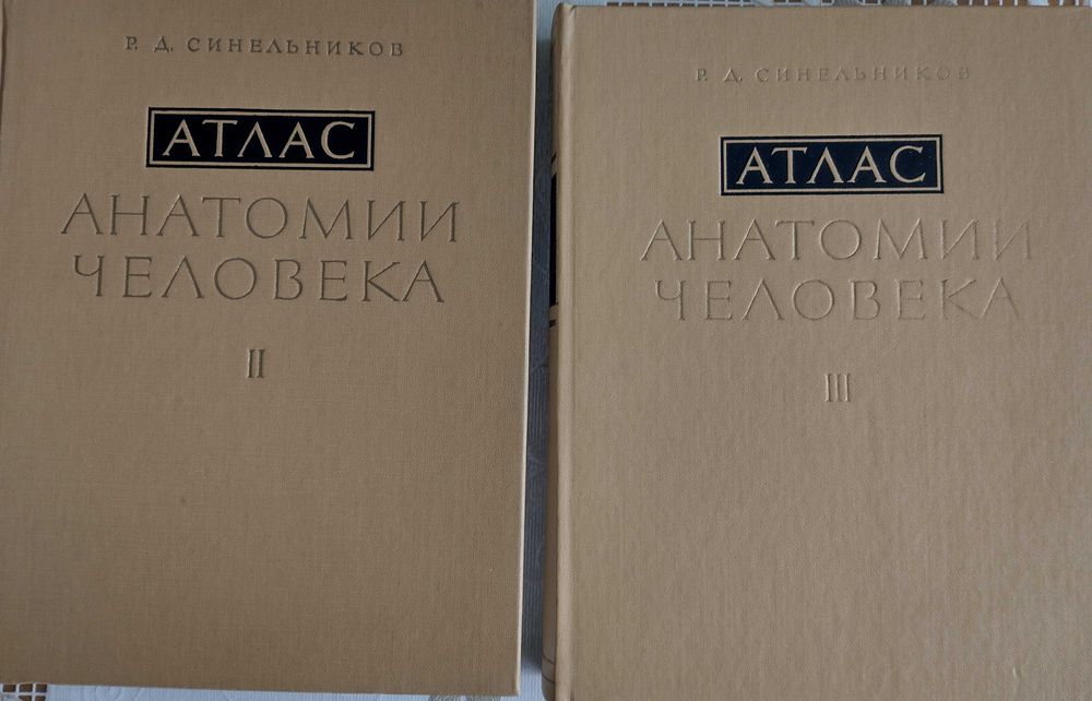 Често нови атласи по медицина на Синельников