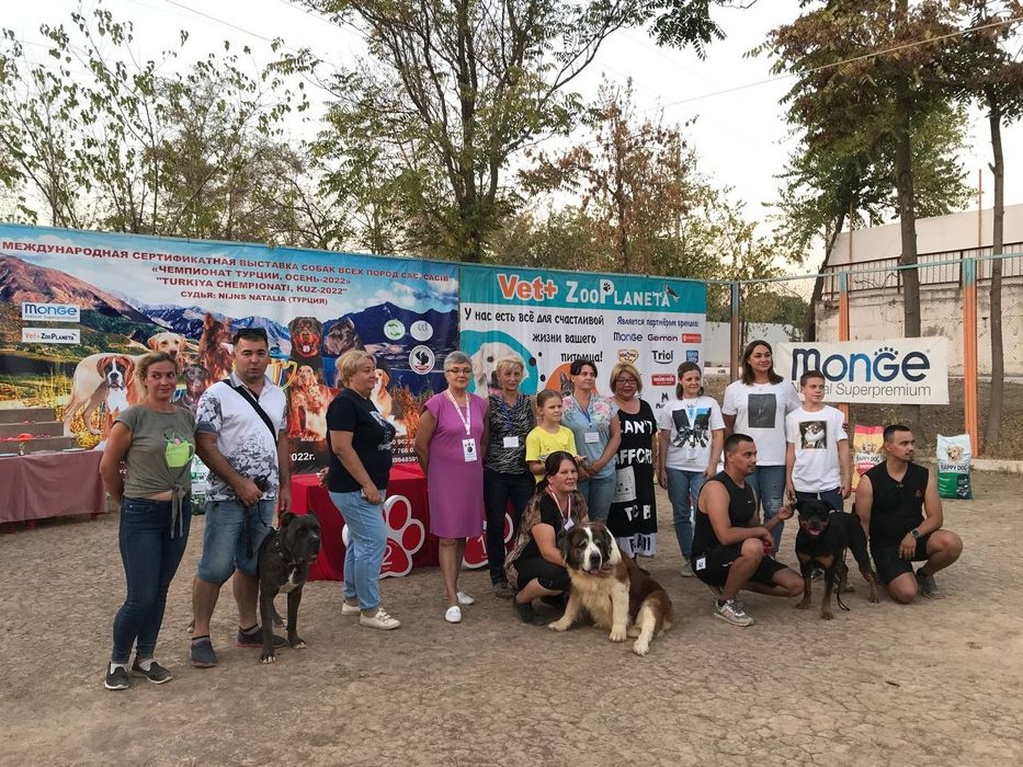 Дрессировка сабак