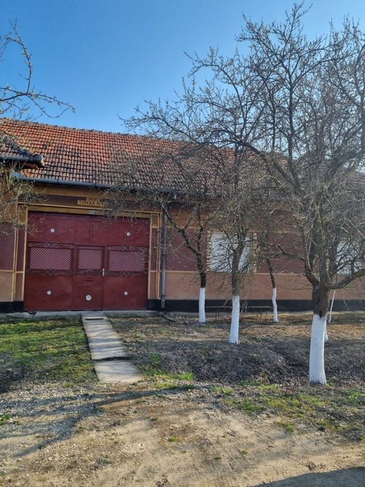 Casa si doua livezi in localiatea Somoscheș