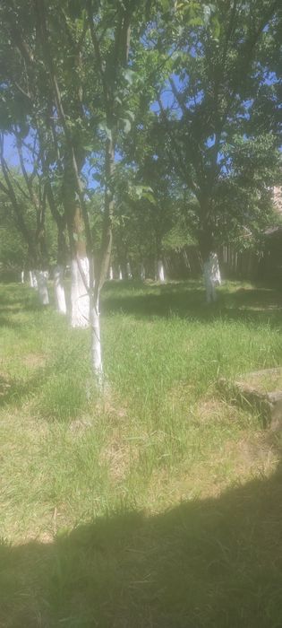 Casa  si gradină de vânzare