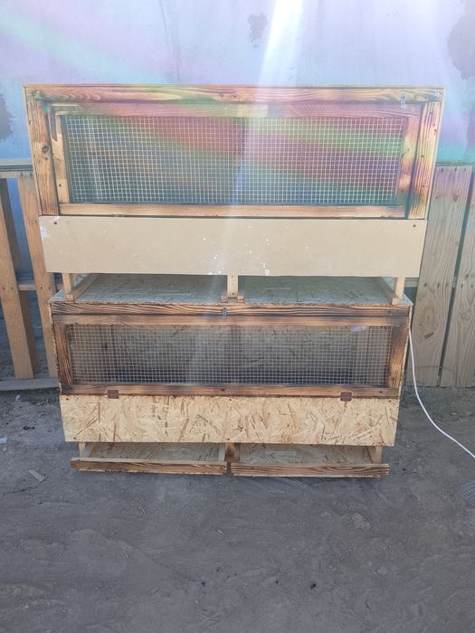 Брудер для цеплята