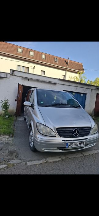 _Mercedes Viano_