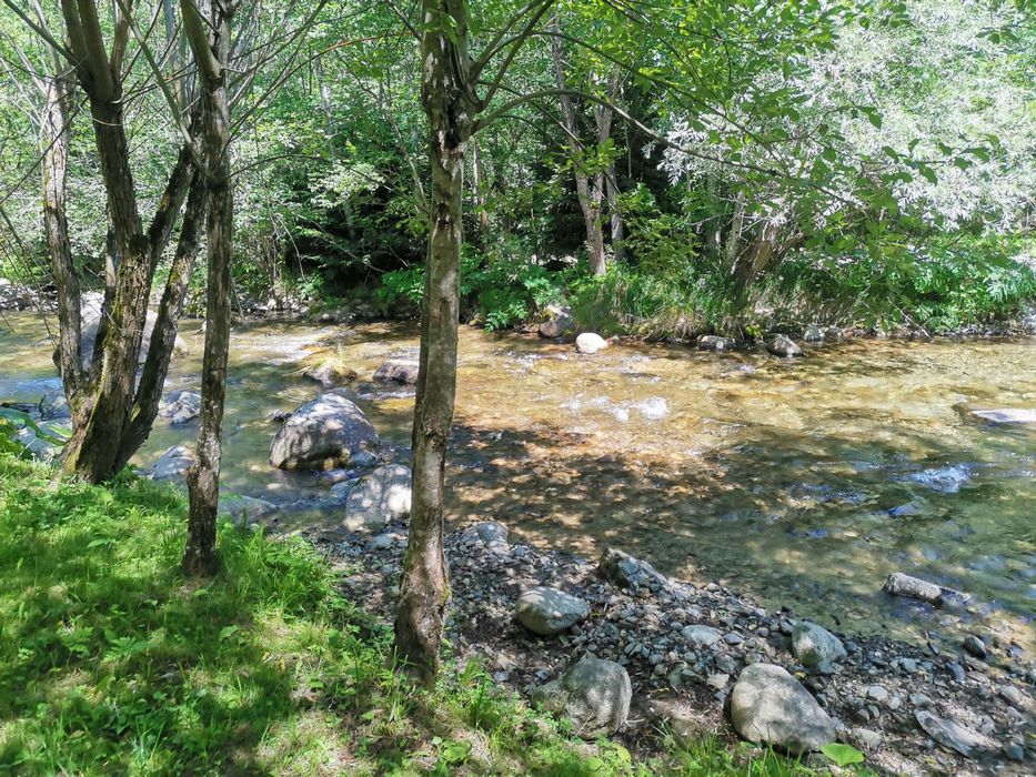 Cabană de închiriat Gura Zlata jud.HD