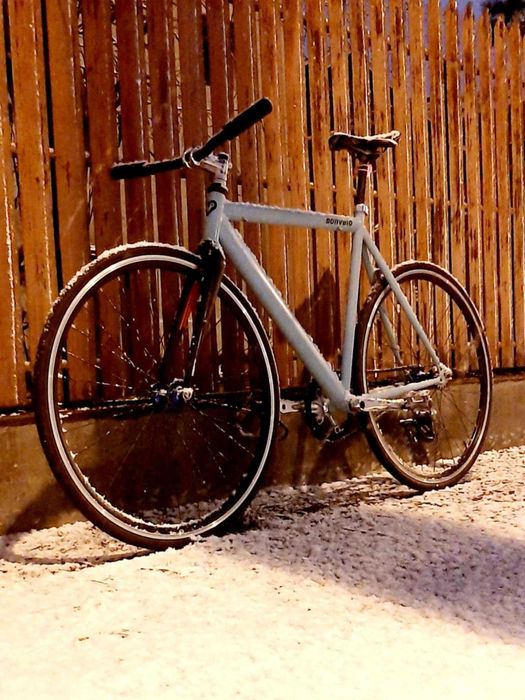 cadru single speed / cursiera