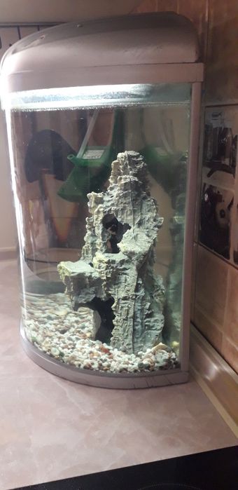 Аквариум панорамный