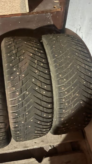 Шина пара зимний