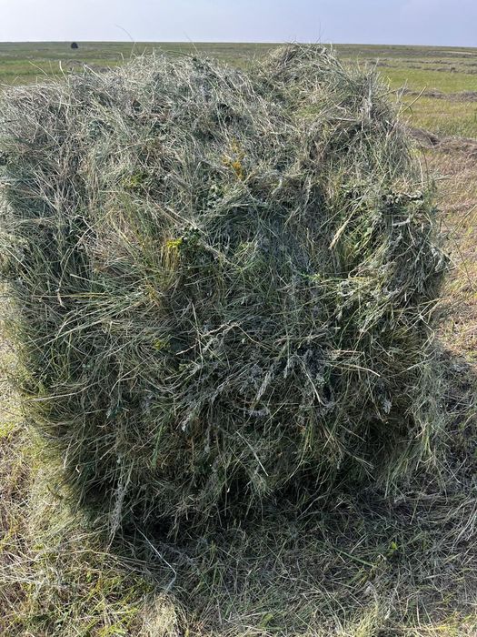 Продам сено — степное и луговое