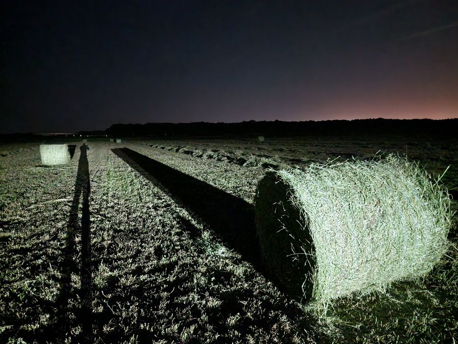 Baloti de lucerna pentru cai