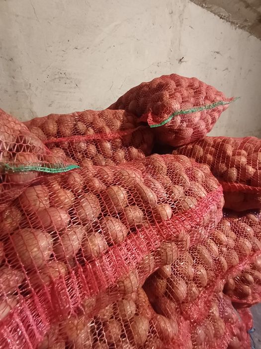 Cartofi de vânzare rosi