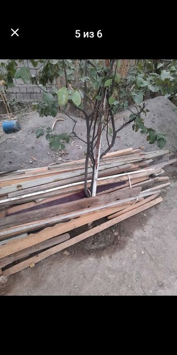 Доски разных диаметров