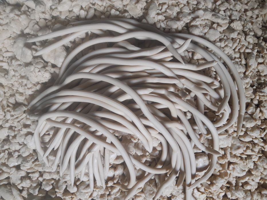 Хозяйственное мыло оптом