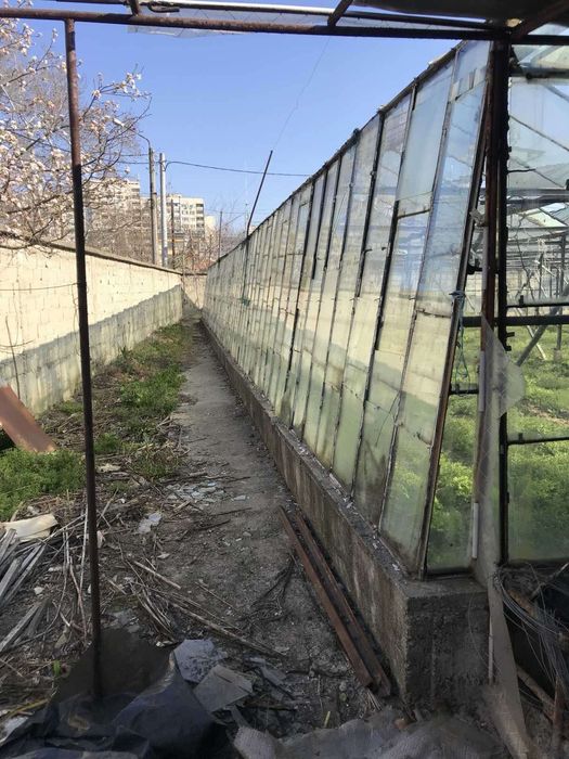 Стъклена оранжерия