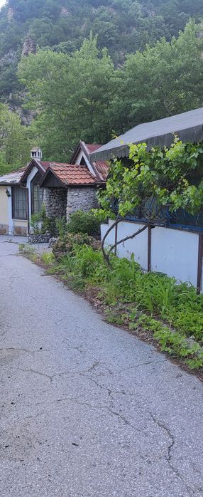 Дава се под наем Заведение в с. Бачково, Област Пловдив - 1000 кв.м за 600 € - Снимка #7