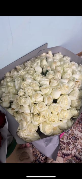 101 роза свежийй