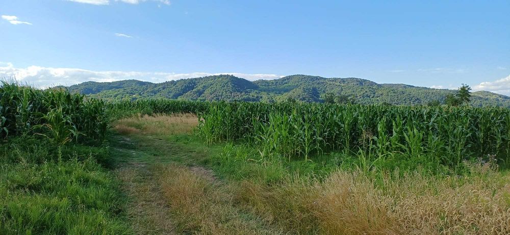 Teren Intravilan - drumul garii Ramnicu Valcea