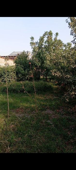 Ер сотилади Бектемирдан