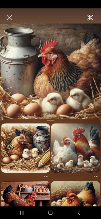 Ouă proaspete de la găini crescute natural