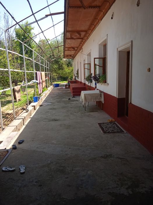 Уй куктереда жойлашган