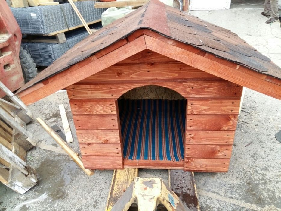 Cusca caine(diferite marimi)