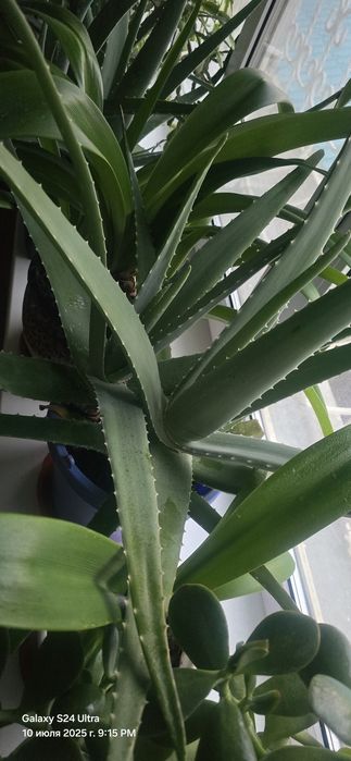 Продам кафель б.у и новый