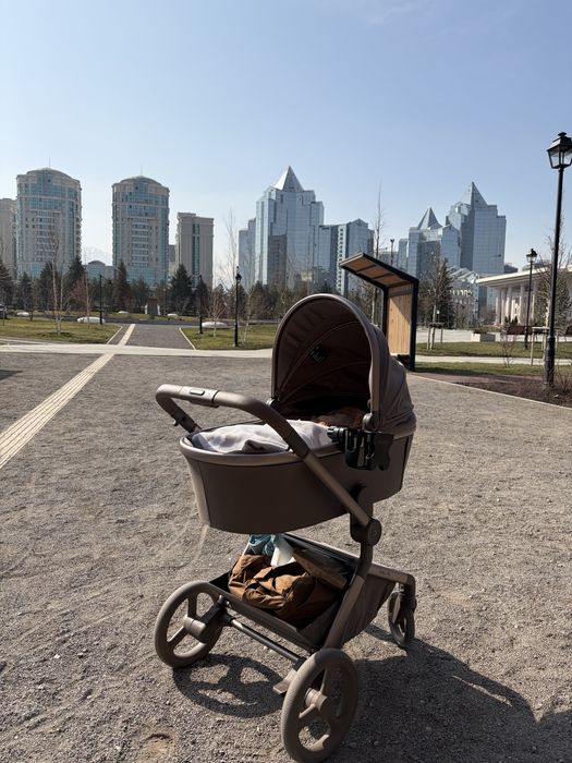 Коляска Anex Flo