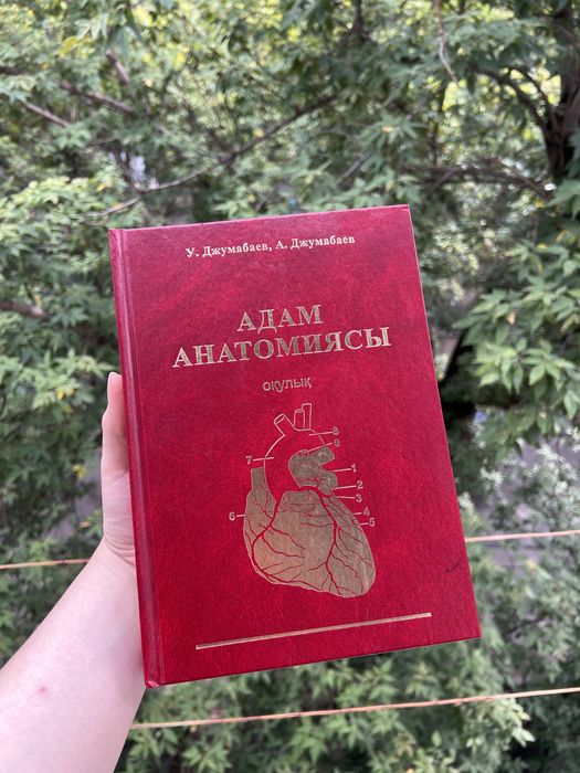 Ксения Мюллер порно видео