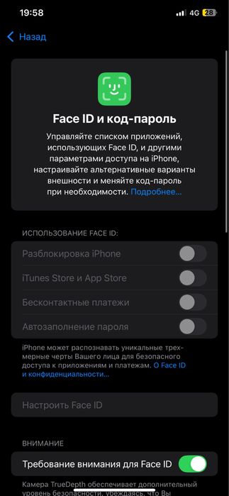 Айфон Хс Мах 512/100%