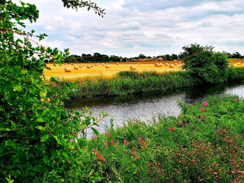 Вдоль реки фото Вдоль реки фото