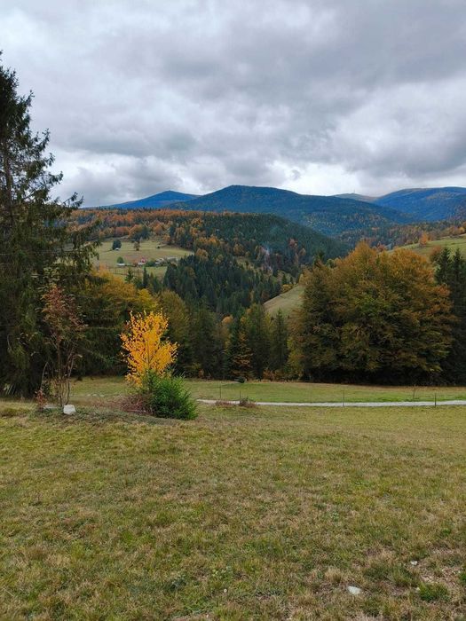 Teren în Arieșeni jud Alba