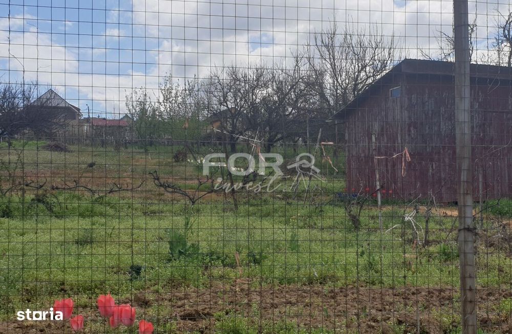 Teren intravilan de vanzare 850mp, strada Arinului