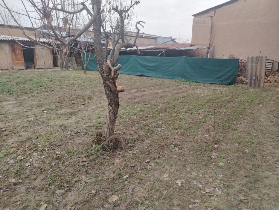 3 сотих  курук ер сотилади