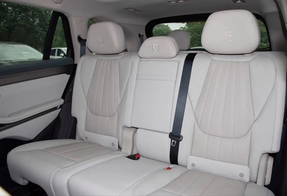 BYD tang L ev and DM-i