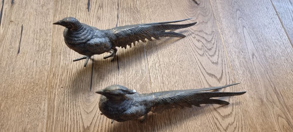 Бронзови фазани , мъжки и женски